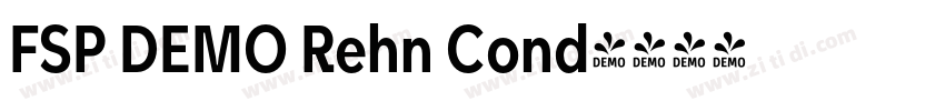 FSP DEMO Rehn Cond字体转换 FSP DEMO Rehn Cond字体转换